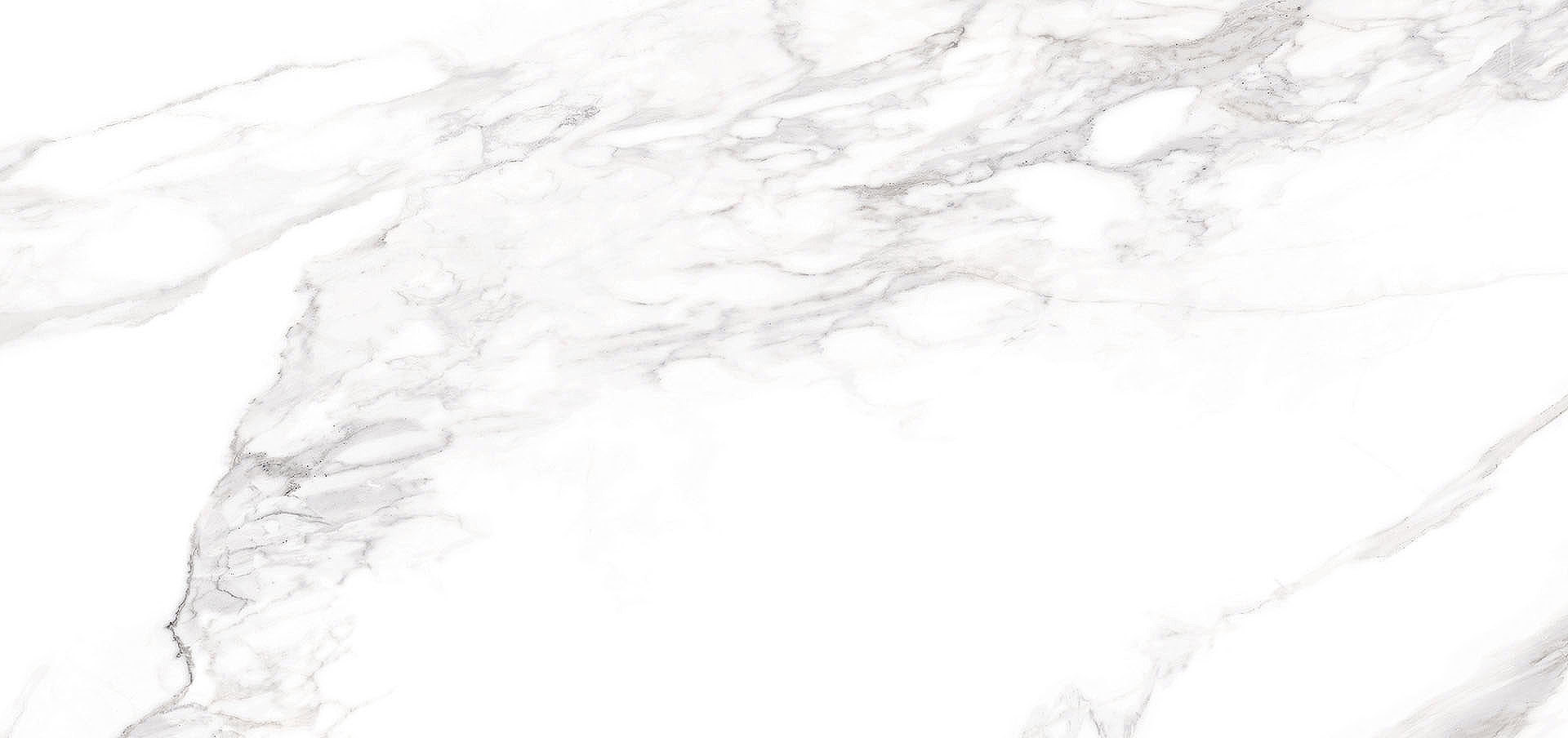 PERTOR BIANCO POLISHED White Marble tile   60 x 120 cm