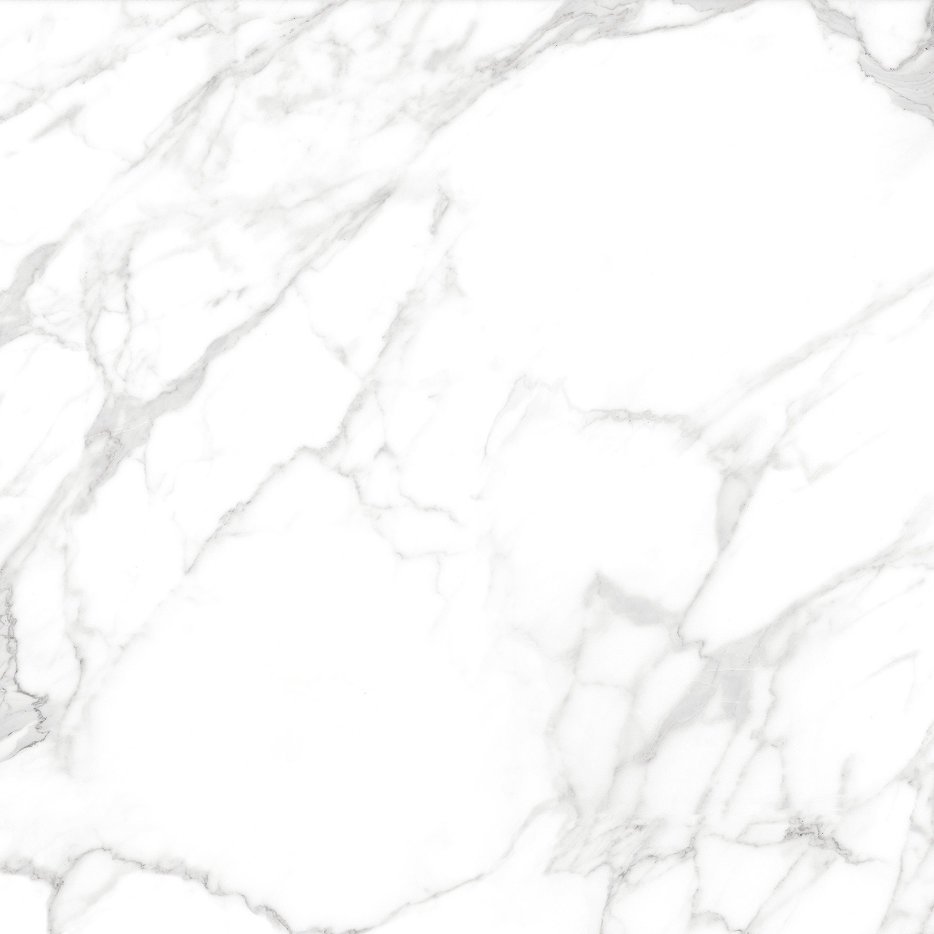GRECIA PEARL POLISHED White Marble tile   120 x 120 cm