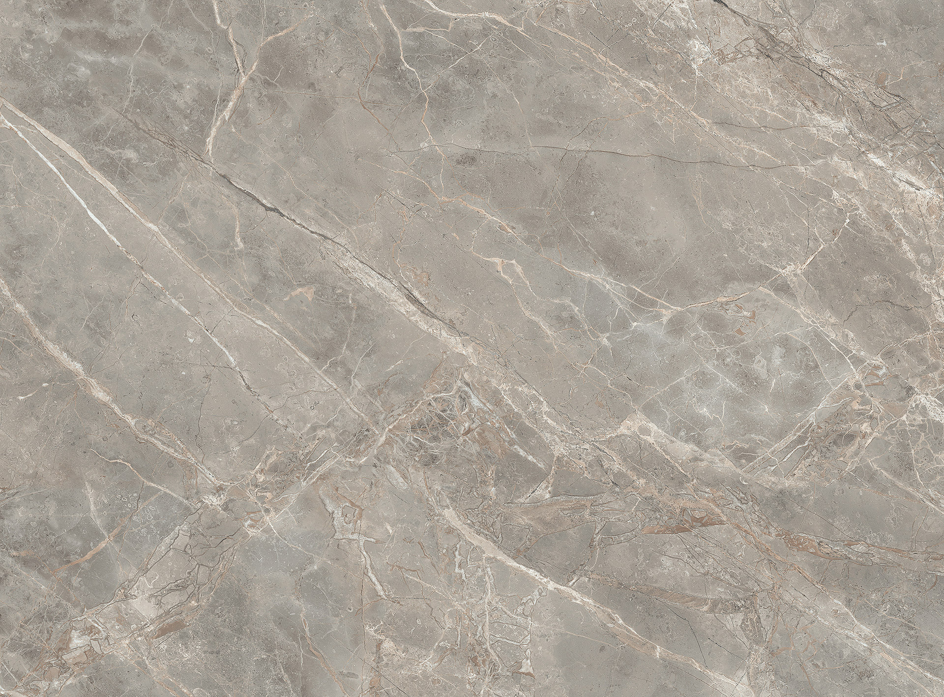 ETOILES GRIS GLOSSY Dark Grey Marble tile   120 x 280 cm