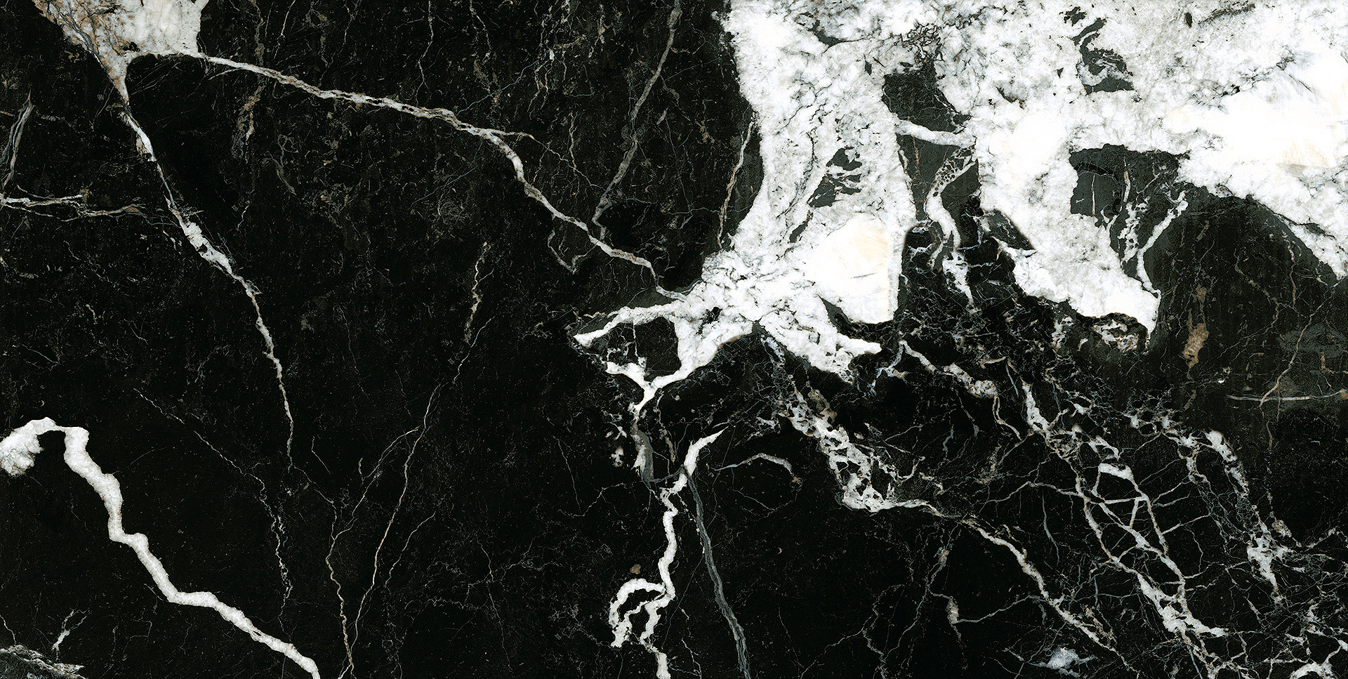 KAVALA NOIR SUPER POLISHED  Black And White Marble tile   60 x 120 cm